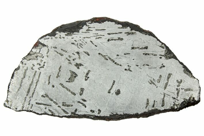 Etched Canyon Diablo Meteorite Slice ( g) - Arizona #329383